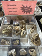 I Feria de Minerales de Pantoja