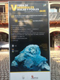 V Feria de Minerales, Rocas y Fósiles de Castilla León 