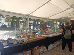 V Feria de Minerales, Rocas y Fósiles de Castilla León 