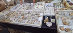 V Feria de Minerales, Rocas y Fósiles de Castilla León 