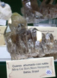 III Feria Internacional Minerales, Fósiles y Gemas de Utrillas