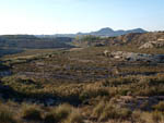 Grupo Mineralógico de Alicante. Barranco del Mulo. Ulea. Murcia