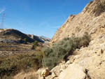 Grupo Mineralógico de Alicante. Barranco del Mulo. Ulea. Murcia