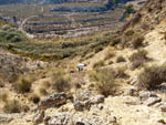 Grupo Mineralógico de Alicante. Barranco del Mulo. Ulea. Murcia