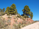Barranco de la Escarabehuela, Enguídanos, Cuenca