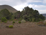 Asociación Cultural Mineralogica de la Sierra de Cartagena la Unión Minados de la Sierra