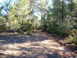 Barranco de la Escarabehuela, Enguídanos, Cuenca