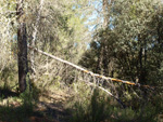 Barranco de la Escarabehuela, Enguídanos, Cuenca