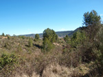 Barranco de la Escarabehuela, Enguídanos, Cuenca