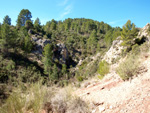 Barranco de la Escarabehuela, Enguídanos, Cuenca