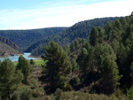 Barranco de la Escarabehuela, Enguídanos, Cuenca