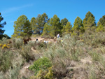 Barranco de la Escarabehuela, Enguídanos, Cuenca