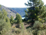 Barranco de la Escarabehuela, Enguídanos, Cuenca