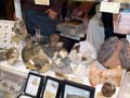 GMA. Minerval 2016. Stand de TESOROS NATURALES