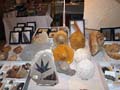 GMA. Minerval 2016. Stand de PALEOS