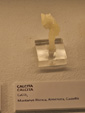 Exposición Tesoros de la Tierra. Minerales de la Comunidad Valenciana. Colección Juan Miguel Casanova Onrubia