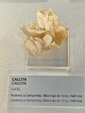 Exposición Tesoros de la Tierra. Minerales de la Comunidad Valenciana. Colección Juan Miguel Casanova Onrubia