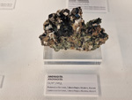 Exposición Tesoros de la Tierra. Minerales de la Comunidad Valenciana. Colección Juan Miguel Casanova Onrubia