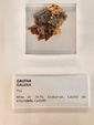 Exposición Tesoros de la Tierra. Minerales de la Comunidad Valenciana. Colección Juan Miguel Casanova Onrubia