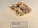 Exposición Tesoros de la Tierra. Minerales de la Comunidad Valenciana. Colección Juan Miguel Casanova Onrubia