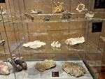 GMA. Museo Nacional de Ciencias Naturales