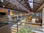 GMA. Museo Nacional de Ciencias Naturales