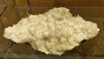 GMA. Museo Nacional de Ciencias Naturales