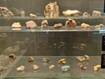 GMA. Museo Nacional de Ciencias Naturales