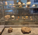 GMA. Museo Nacional de Ciencias Naturales