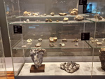 GMA. Museo Nacional de Ciencias Naturales