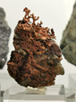 Museo de Ciencias Naturales de Álava