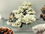 Museo de Ciencias Naturales de Álava