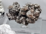 Museo de Ciencias Naturales de Álava