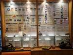 Museo de Minerales de Euskalduna