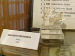 Museo de Minerales de Euskalduna