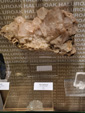 Museo de Minerales de Euskalduna