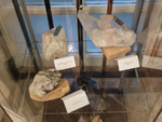 Museo de Minerales de Euskalduna