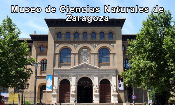 Museo de Minerales de la Universidad de Zaragoza