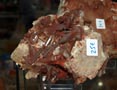 XXI Feria de Minerales de la Unión. Stand de Carlos Dextre