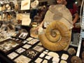 XXI Feria de Minerales de la Unión. Stand de Kanek