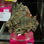 XX Feria de Minerales de la Unión. Stand de Casimiro Rodriguez Fernández 