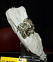 XXI Feria de Minerales de la Unión. Stand de Miguel Ángel Amaya