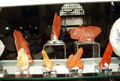 XXI Feria de Minerales de la Unión. Stand de David Martínez Naudo KANEk