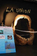 FEM. VIII Feria de Minerales y Fósiles de La Unión