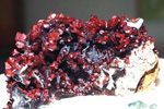 FEM. VIII Feria de Minerales y Fósiles de La Unión