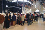 FEM. VIII Feria de Minerales y Fósiles de La Unión