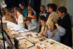 FEM. VIII Feria de Minerales y Fósiles de La Unión