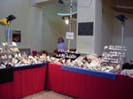 FEM. XI Feria de Minerales y Fósiles de La Unión