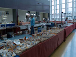 GMM. FIPAL. II Feria de Fósiles, Minerales y Malacología. Alcoy