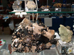 GMM. FIPAL. II Feria de Fósiles, Minerales y Malacología. Alcoy